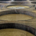 金笛しょうゆパーク - 発酵中