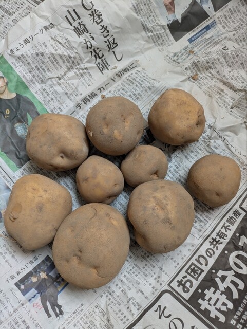 ふれあい食の駅 東室蘭