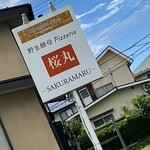 野生酵母ピッツェリア 桜丸 - 