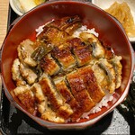 Yaki Fugu Yufuku Kitashinchi Ten - 鳗鱼饭拌饭