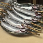 徳ㇵ本也 - 能登の大きな鰯は蛍烏賊を食べているとの事