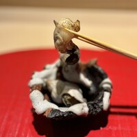 鮨 竜胆 - 