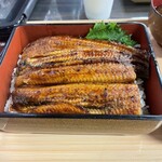 お魚食堂 こたや - 