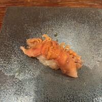 江戸心 山ぼうし - 