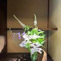 京味 もと井 - 