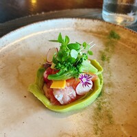 Wattle Tokyo -  Wattle Tokyo -