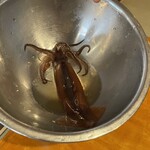 大衆居酒屋魚さんこ - 