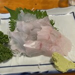 大衆居酒屋魚さんこ - 