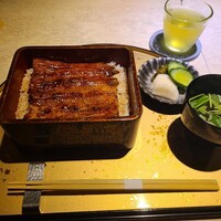 うなぎ 目白ぞろ芽 - 