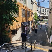 うなぎ 目白ぞろ芽 - 