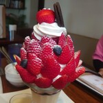 レ・ボ・プロヴァンス - ツリーハーフ( *´艸｀)