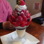 レ・ボ・プロヴァンス - ハーフツリー(人*´∀｀)