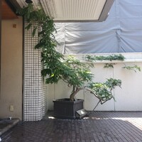 近松 - 