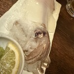 泳ぎイカと炭火 九州うまか - 