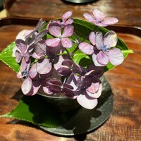 御料理 無窮 - 