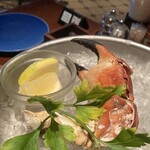 THE RIGOLETTO OCEAN CLUB - 