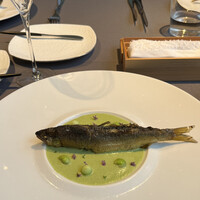 プレヴナンス - 