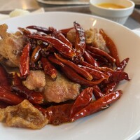 CINA New Modern Chinese - 