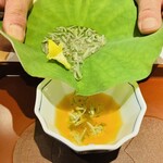 馳走 啐啄一十  - 【写真③】蓴菜(東広島市黒瀬)