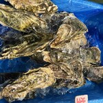 カネ彦 中村水産 - 料理写真: