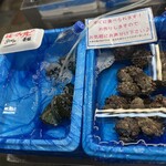 カネ彦 中村水産 - 