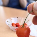 創作懐石料理のお店 しょうえい - 