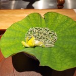 馳走 啐啄一十  - 