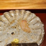 馳走 啐啄一十  - 