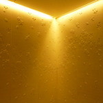 ザ・リッツ・カールトン京都 - 