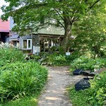 庭の花 - 森の木陰でどんじゃらほーい