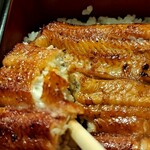 鰻　神田明神下　喜川 - うな重竹