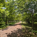 ムースヒルズバーガー - 山中湖畔