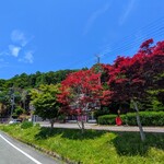 ムースヒルズバーガー - 山中湖畔