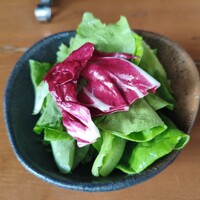 生粋 - 