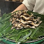 東山 吉寿 - 鮎塩焼き