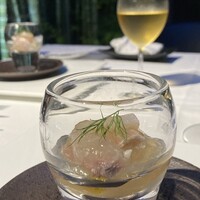 エルルカン・ビス - 