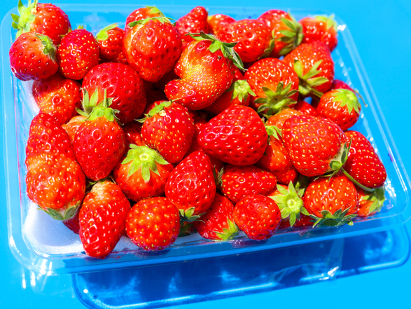 まちワクファーム 仙台市泉区のジューススタンド