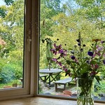 庭の花 - お店からの眺め