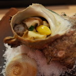 神田 すし昌 - この日の主役はサザエ！壺焼きに 2014.9.1x