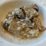 Ｒａｃｃｏｌｔａ - 