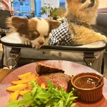 PIZZA＆CAFE TANTON - 