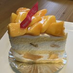 Monsieur Masuno ARPAJON - マンゴーショート