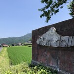 サテンドール - 