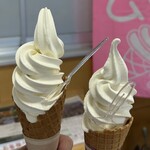 道の駅 コスモール大樹 - 