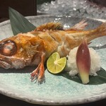 俺の炉ばた 恵比寿 - 