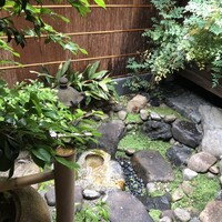 雪梅花 菜根譚 - 