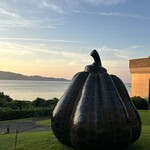 TAOYA - 草間彌生のカボチャ！！黄色くないやつ！！