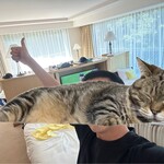 TAOYA - 部屋ひろ〜い！！