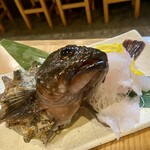 上州屋 - カサゴ刺身