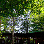 トラットリア プリモ - 